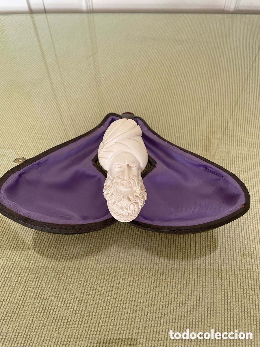 Coleccionismo: Pupa de espuma de mar