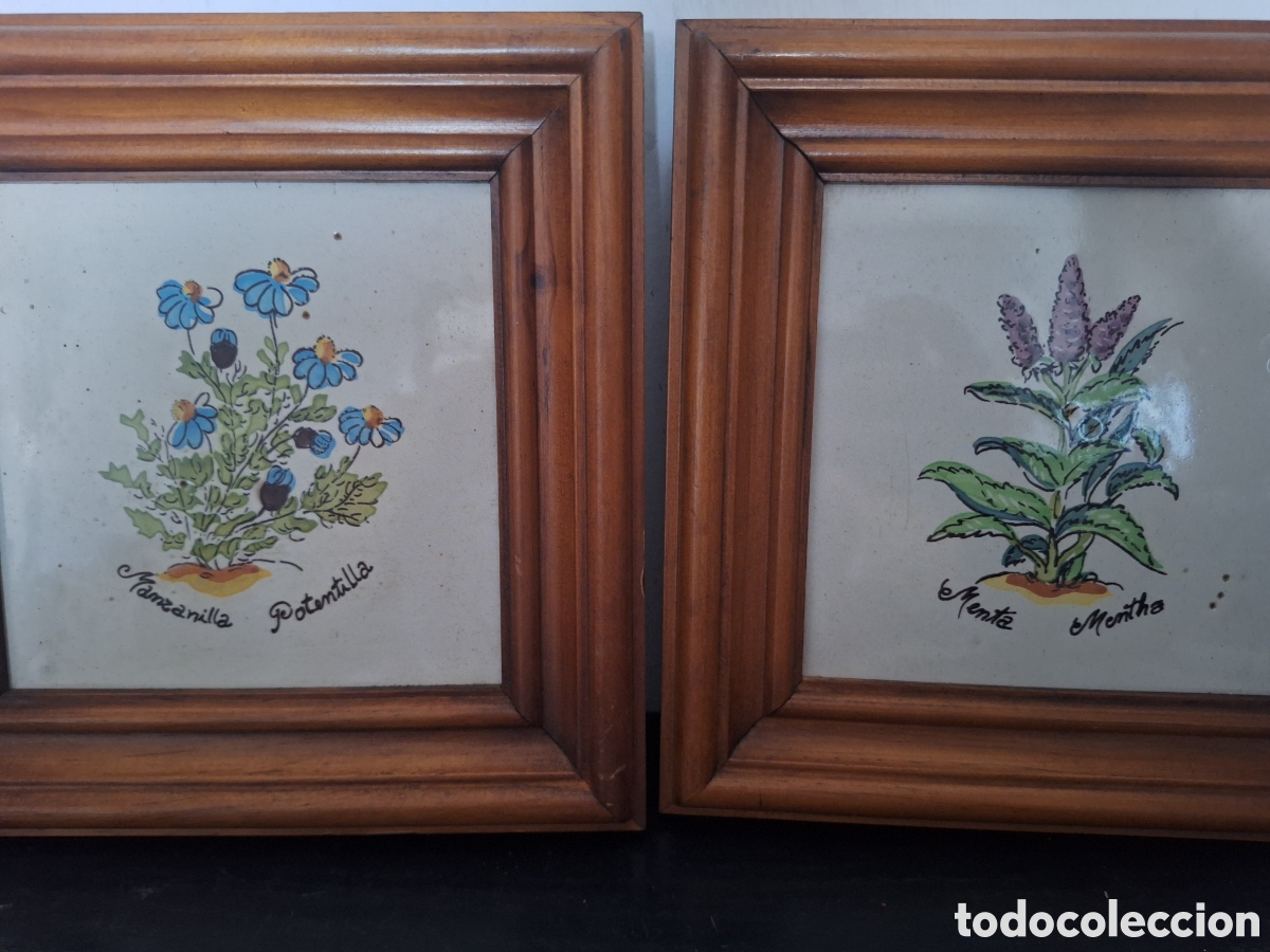 Coleccionismo: Lote de dos cuadros de azulejo pintado