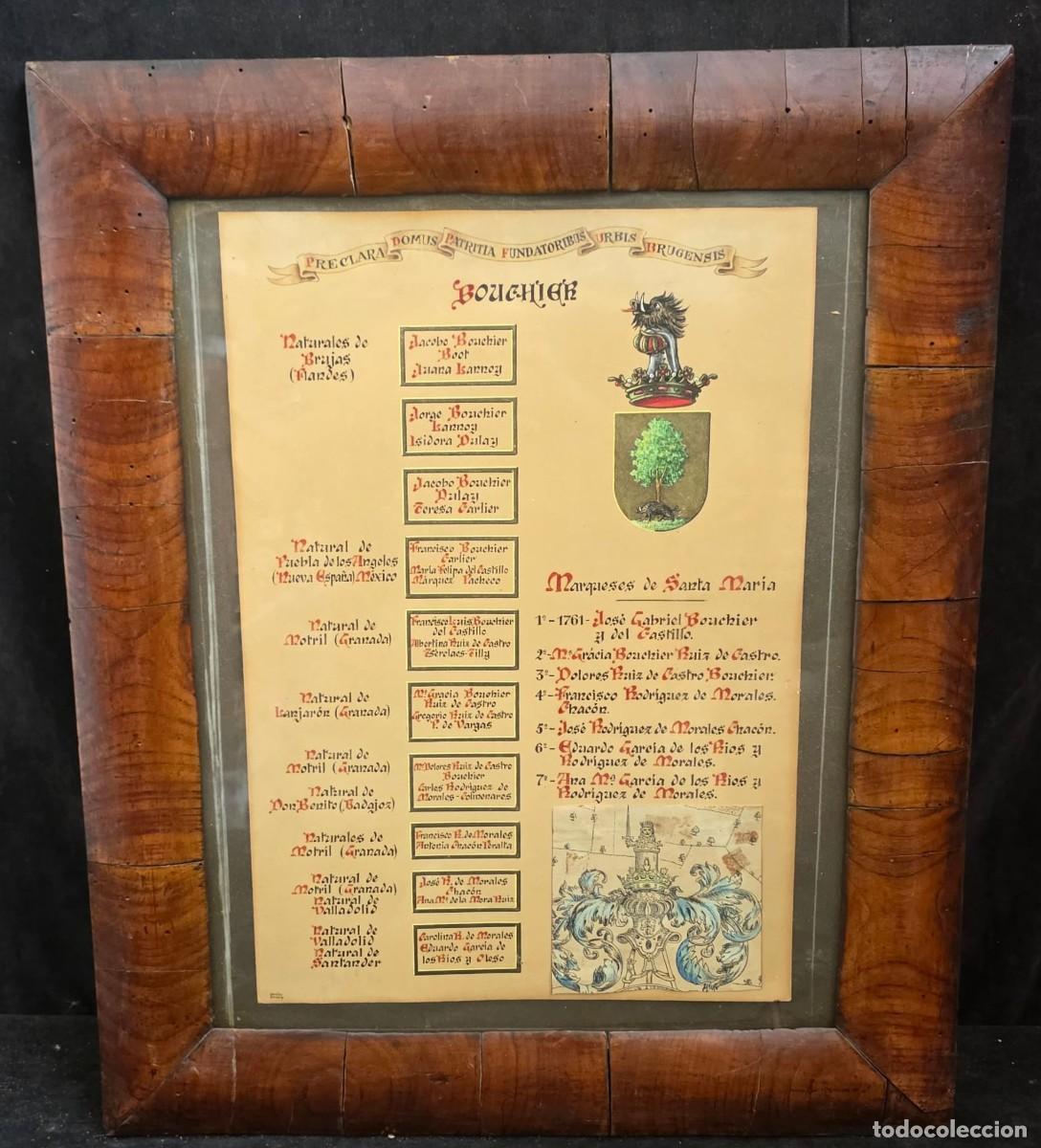 Coleccionismo: &Aacute;rbol Geneal&oacute;gico Her&aacute;ldico de la Familia Bouchier &ndash; Marqueses de Santa Mar&iacute;a &ndash; L&aacute;mina Enmarcada