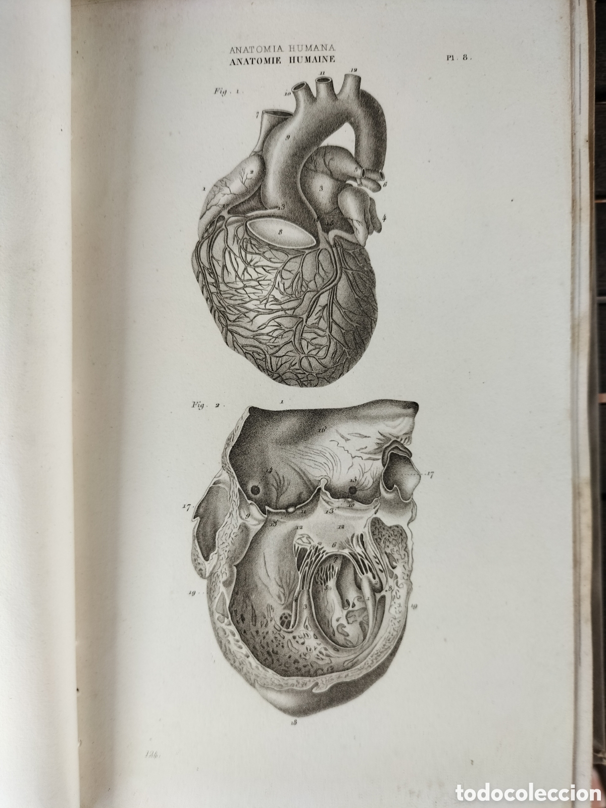Sammelleidenschaft Papier: 167 L&aacute;minas Encuadernadas de var&iacute;as Tem&aacute;ticas.