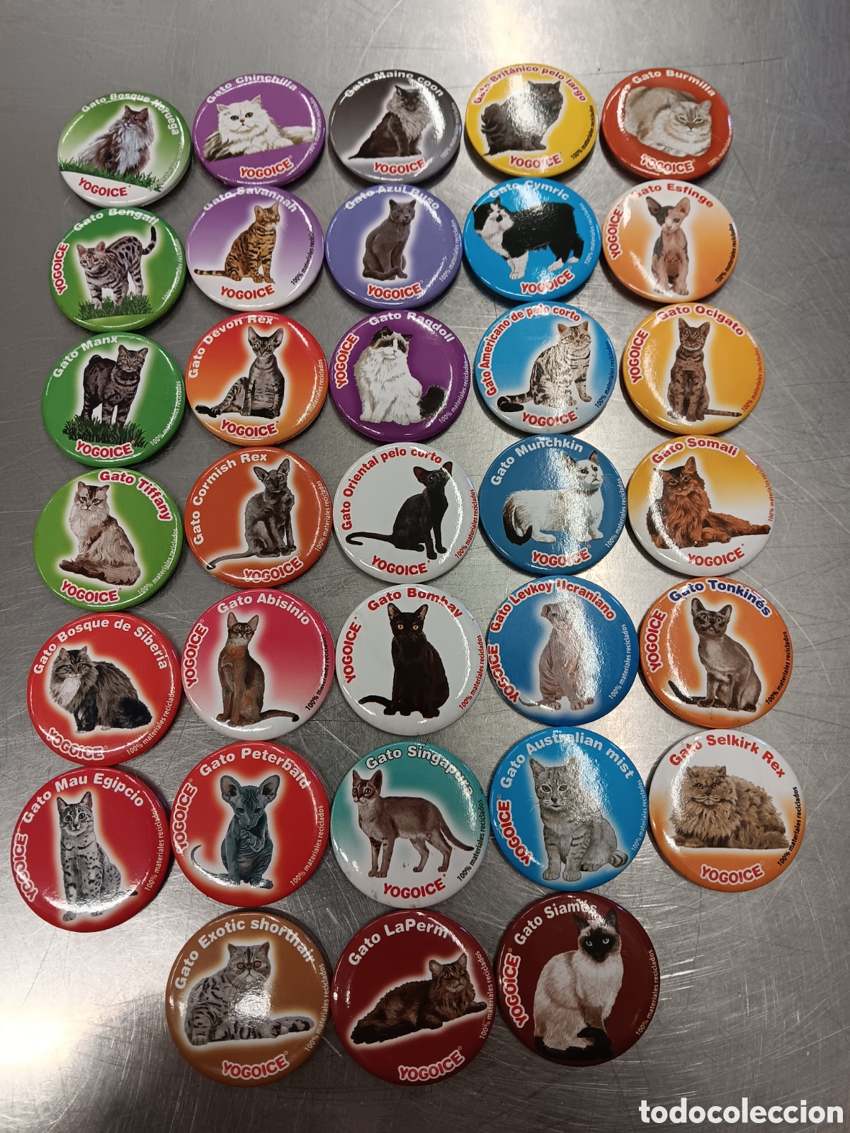 Sammeln: Lote de 33 imanes de razas de gatos. Tazos, todos diferentes.