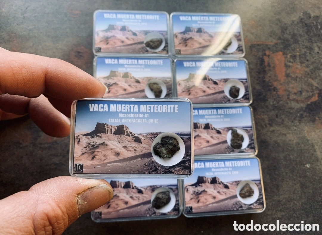 Coleccionismo: Meteorito Vaca Muerta, Chile. Dif&iacute;cil de conseguir