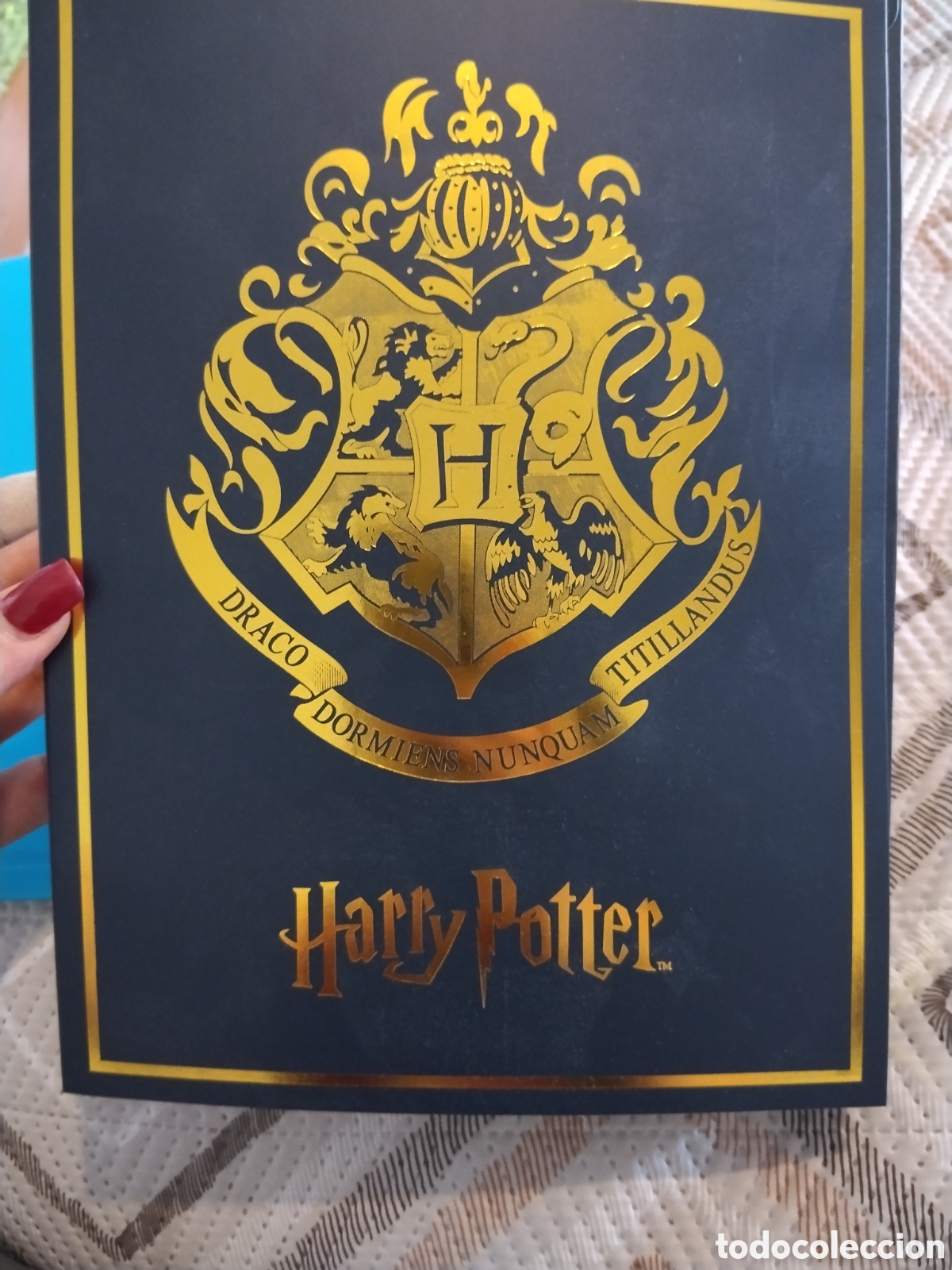 Collecting: Pack Especial Harry Potter