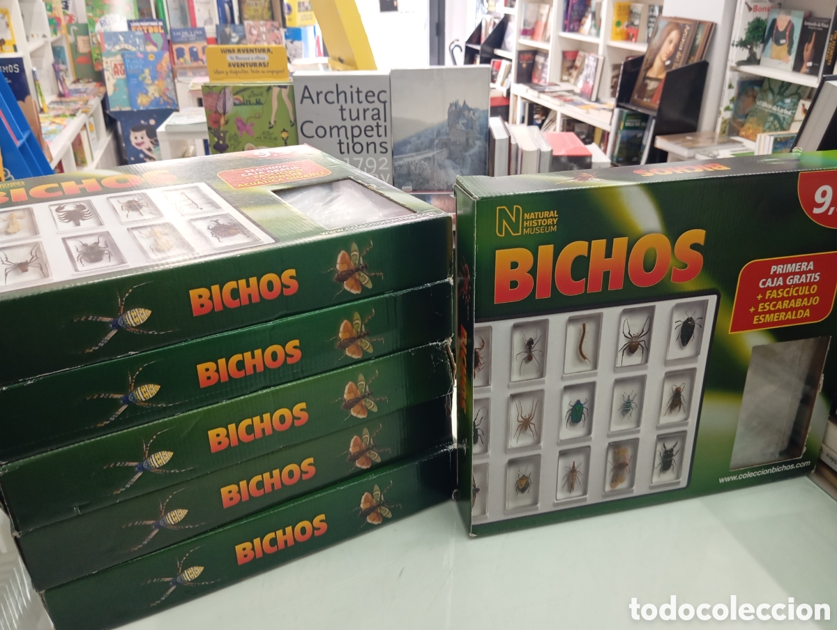 Coleccionismo: COLECCI&Oacute;N BICHOS COMPLETA 85 INSECTOS 6 CAJAS NATURAL HISTORY MUSEUM ENTOMOLOGIA TARANTULA ESCORPION
