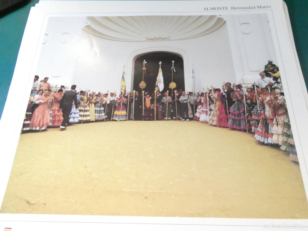 Coleccionismo: L&Aacute;MINA RELIGIOSA. PEREGRINACI&Oacute;N VIRGEN ROC&Iacute;O 1994. CANAL SUR CRUZCAMPO. ALMONTE HERMANDAD MATRIZ