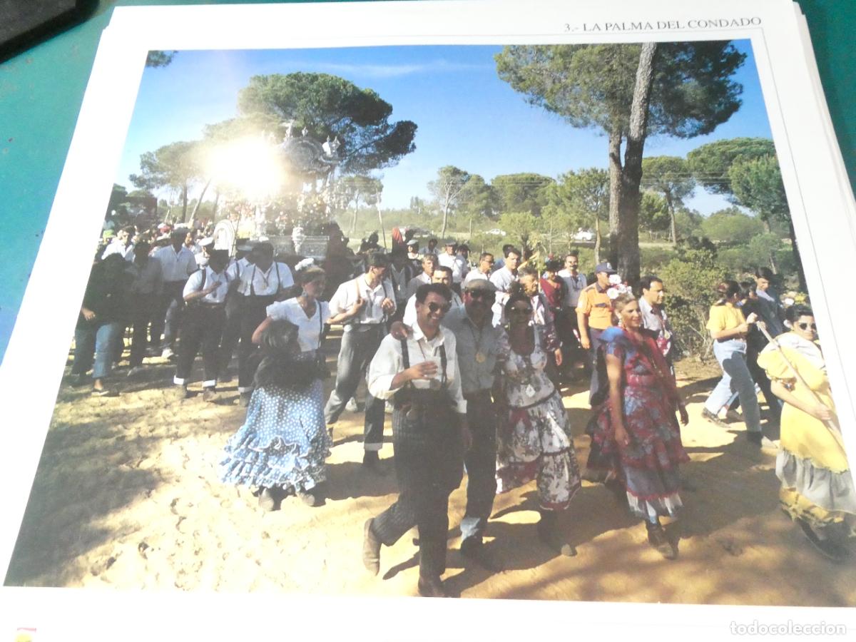 Coleccionismo: L&Aacute;MINA RELIGIOSA. PEREGRINACI&Oacute;N VIRGEN ROC&Iacute;O 1994. CANAL SUR CRUZCAMPO. HERMANDAD PALMA CONDADO