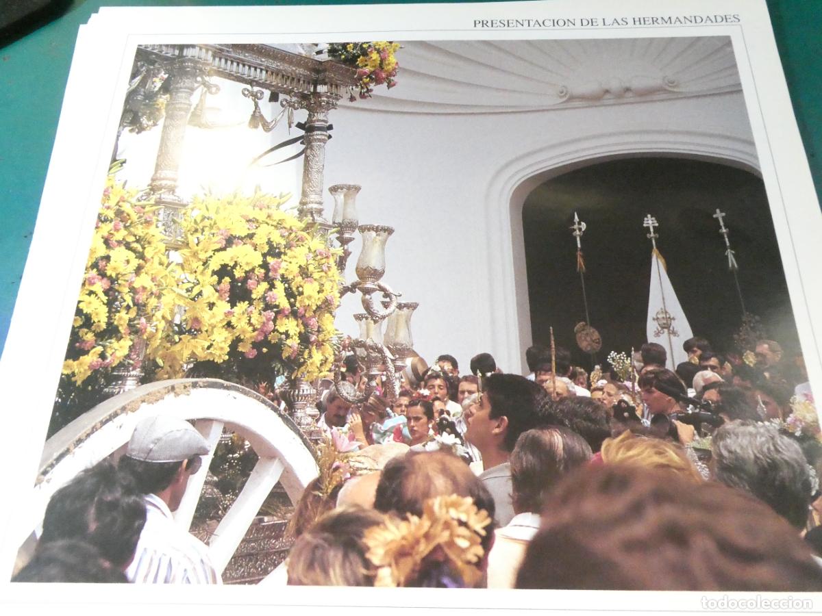 Coleccionismo: L&Aacute;MINA RELIGIOSA. PEREGRINACI&Oacute;N VIRGEN ROC&Iacute;O 1994. CANAL SUR CRUZCAMPO. PRESENTACI&Oacute;N HERMANDADES