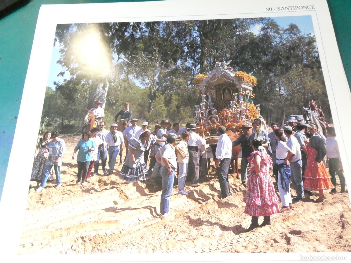 Coleccionismo: L&Aacute;MINA RELIGIOSA. PEREGRINACI&Oacute;N VIRGEN ROC&Iacute;O 1994. CANAL SUR CRUZCAMPO. HERMANDAD SANTIPONCE