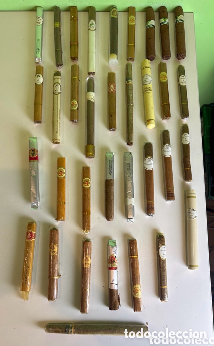 Coleccionismo: Gran lote de puros de colecci&oacute;n &ndash; Habanos,y canarias. Varias marcas