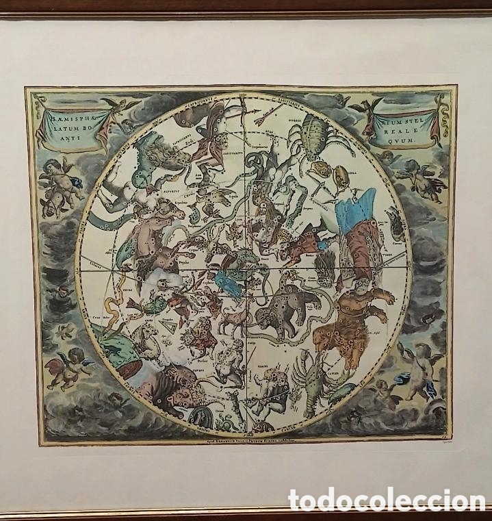 Coleccionismo: Carte C&eacute;leste Ancienne de l'H&eacute;misph&egrave;re Nord