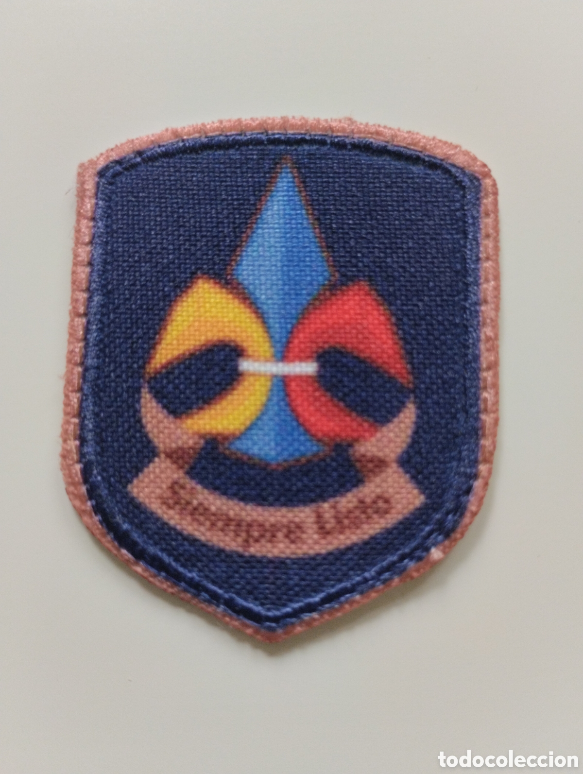Coleccionismo: Adelanto Tropa Scout 1ra Clase