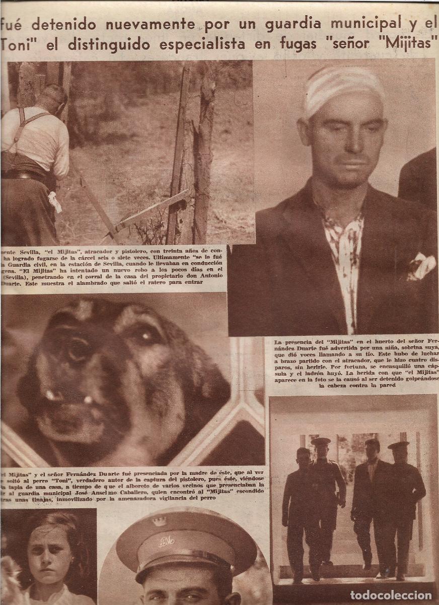 Coleccionismo: A&Ntilde;O 1933 CAMAS SEVILLA DETENCION DEL MIJITAS PISTOLERO POR UN GUARDIA MUNICIPAL Y EL PERRO TONI