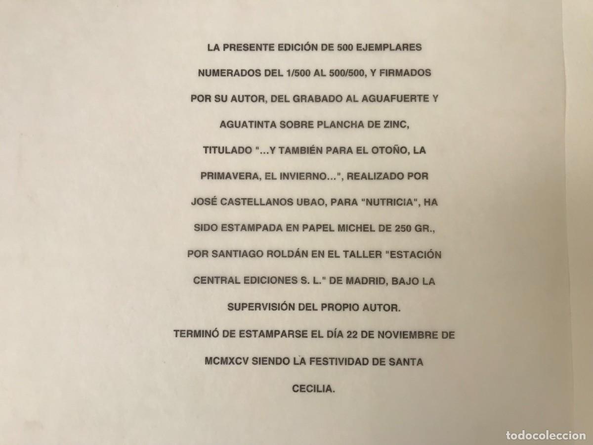 Coleccionismo: L&aacute;mina aguafuerte firmada y numerada - Foto 6