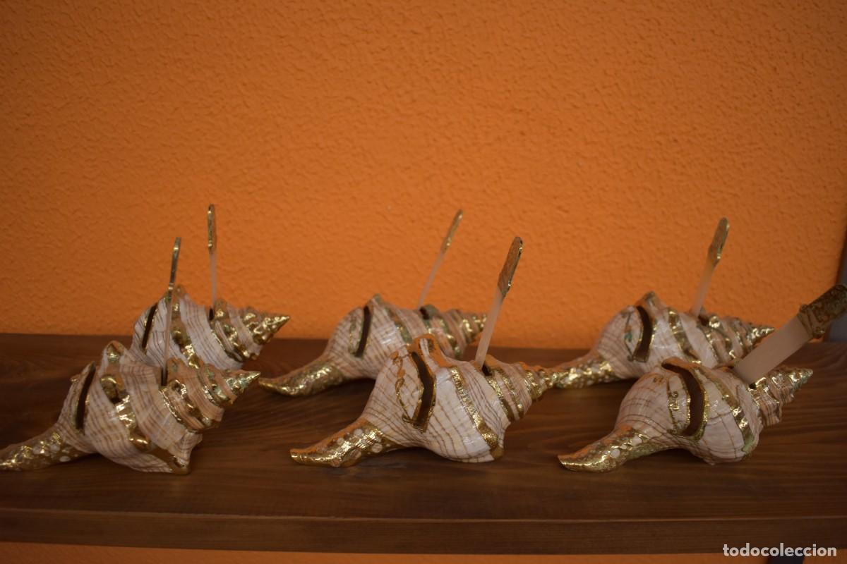 Coleccionismo: Concha marina decorativa con abrecartas