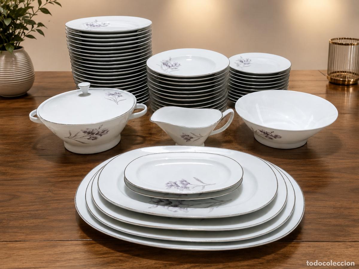 Coleccionismo: Vajilla Bidasoa porcelana a&ntilde;os 60, 56 piezas