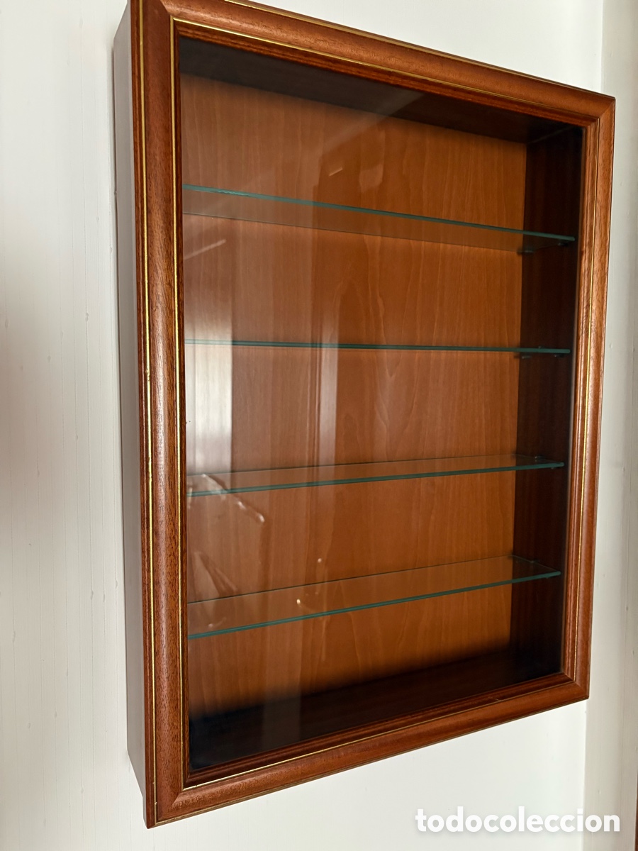 Coleccionismo: Vitrina de pared elegante para miniaturas