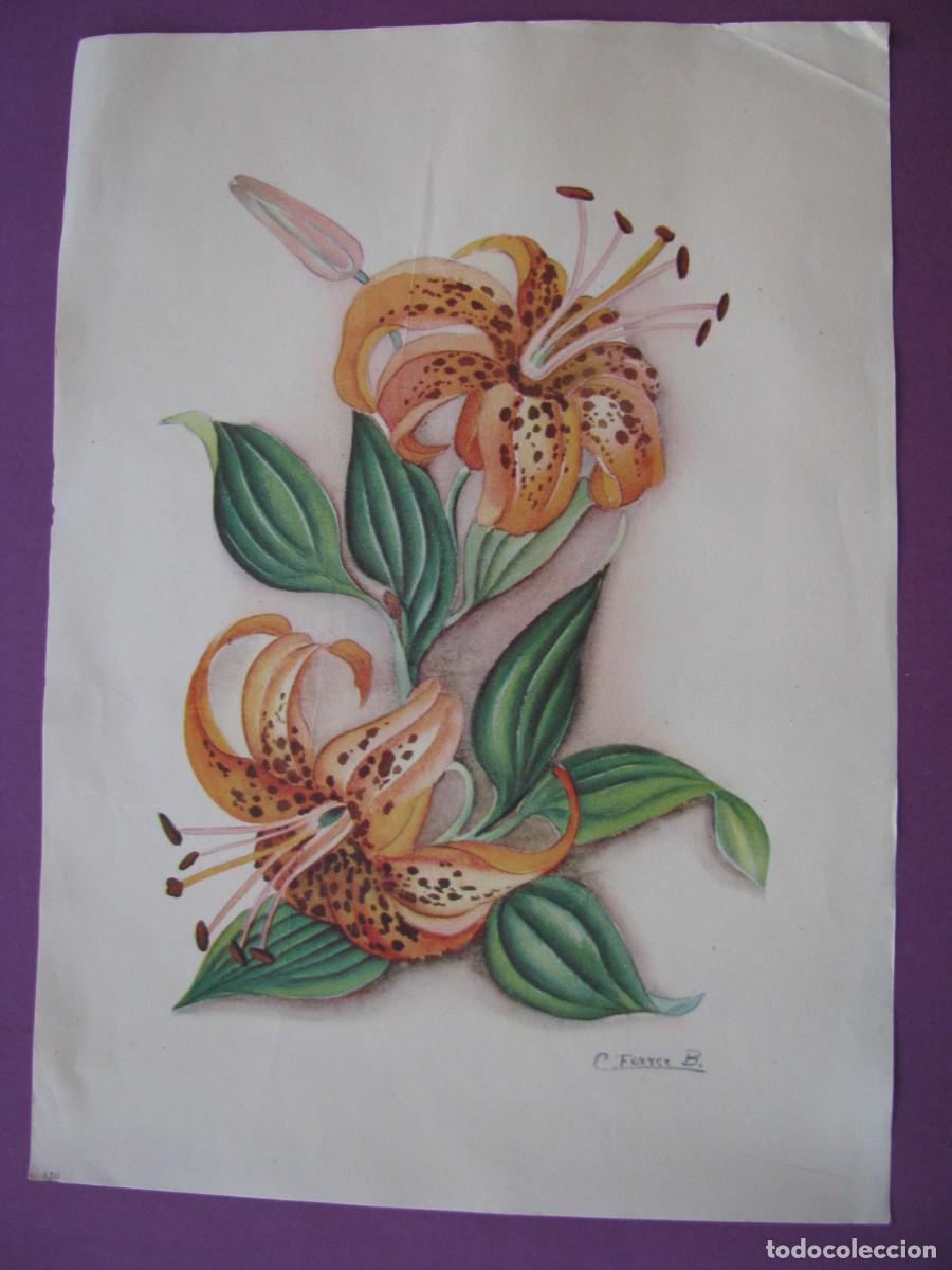 Coleccionismo: LAMINA DE IL. C. FERRER B. FLORES. 23X17 CM