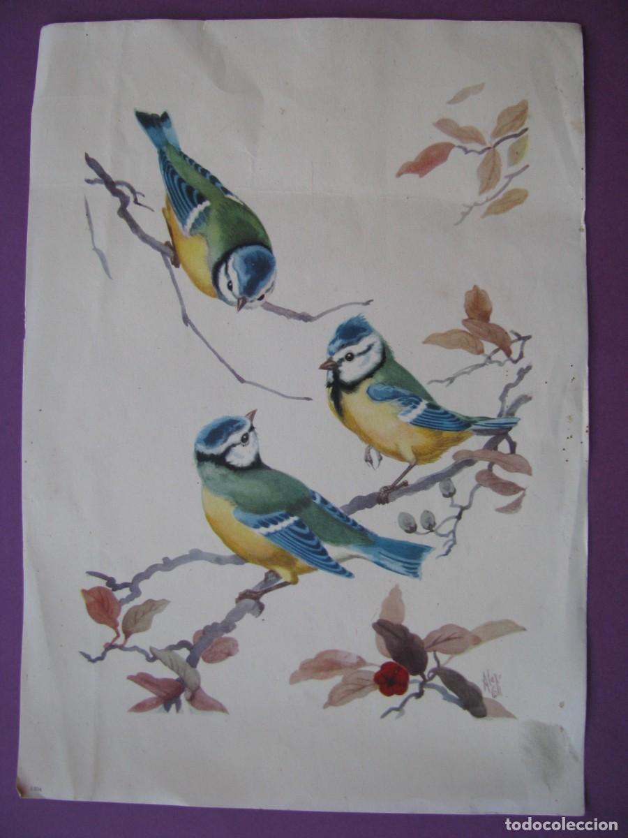 Coleccionismo: LAMINA DE IL. ALEX COLI? AVES. 23X17 CM