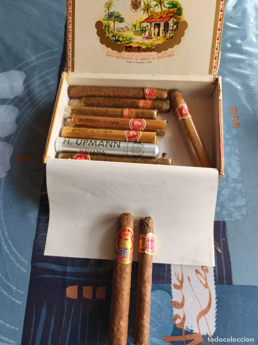 Coleccionismo: Antigua caja de puros Habanos con 10 puros Habanos de diversas marcas