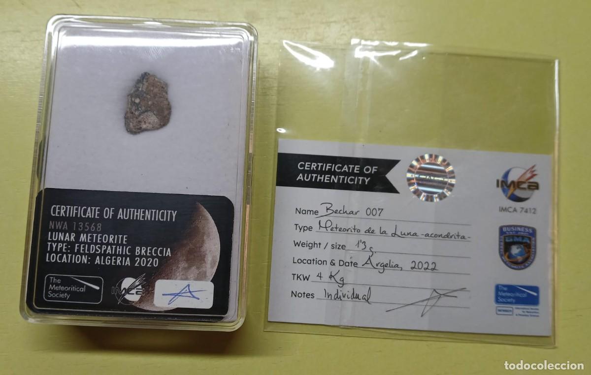 Collezionismo: Autentico Meteorito LUNAR