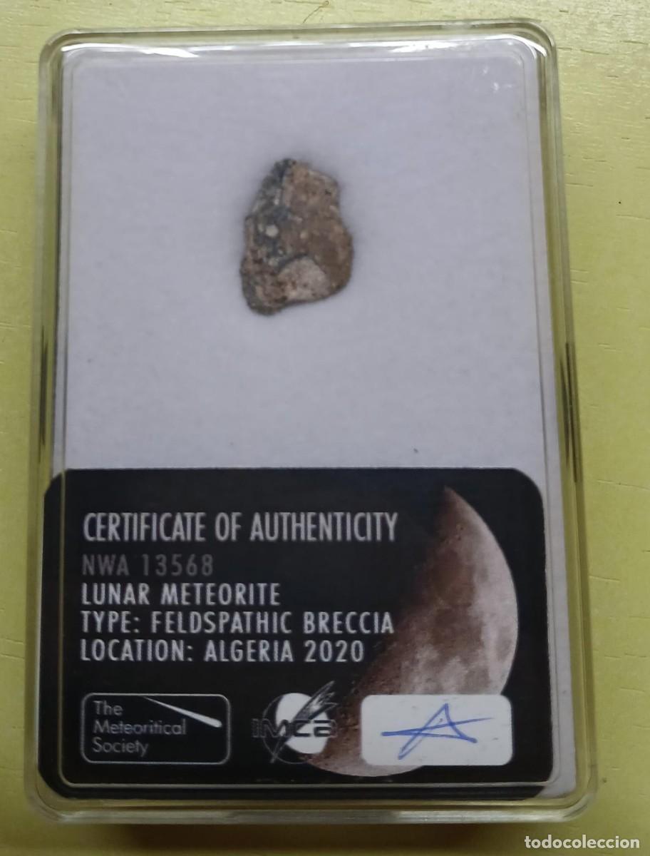 Coleccionismo: Autentico Meteorito LUNAR - Foto 2