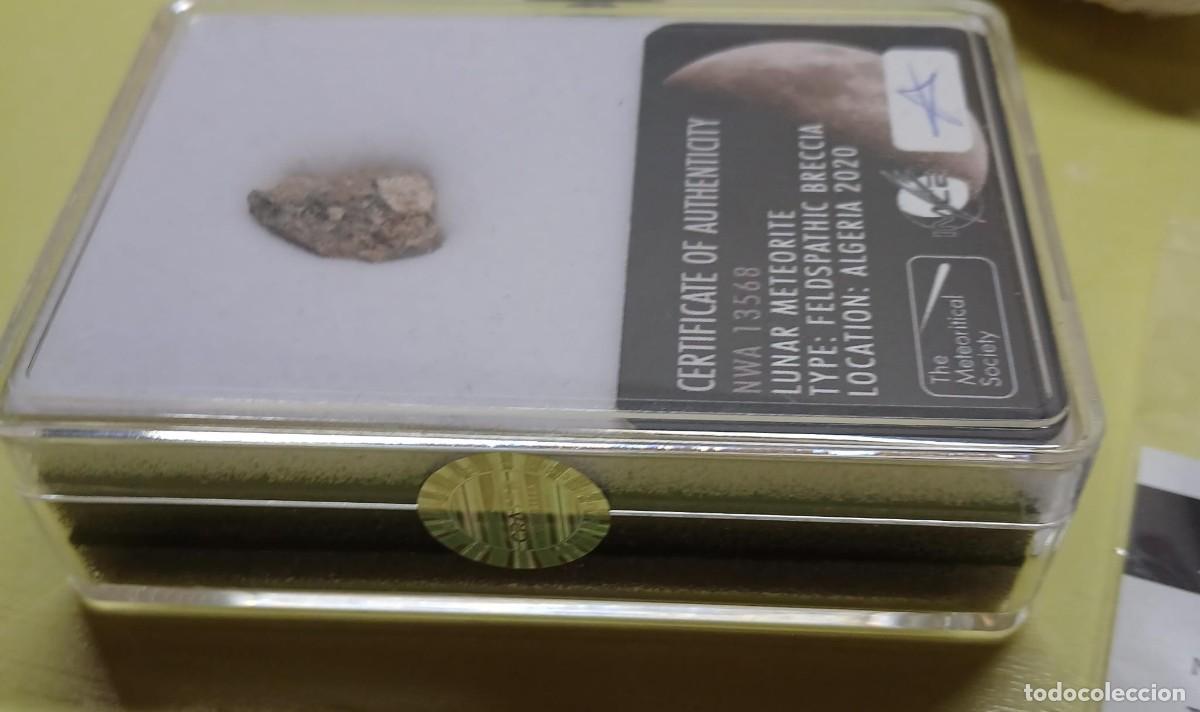 Coleccionismo: Autentico Meteorito LUNAR - Foto 3