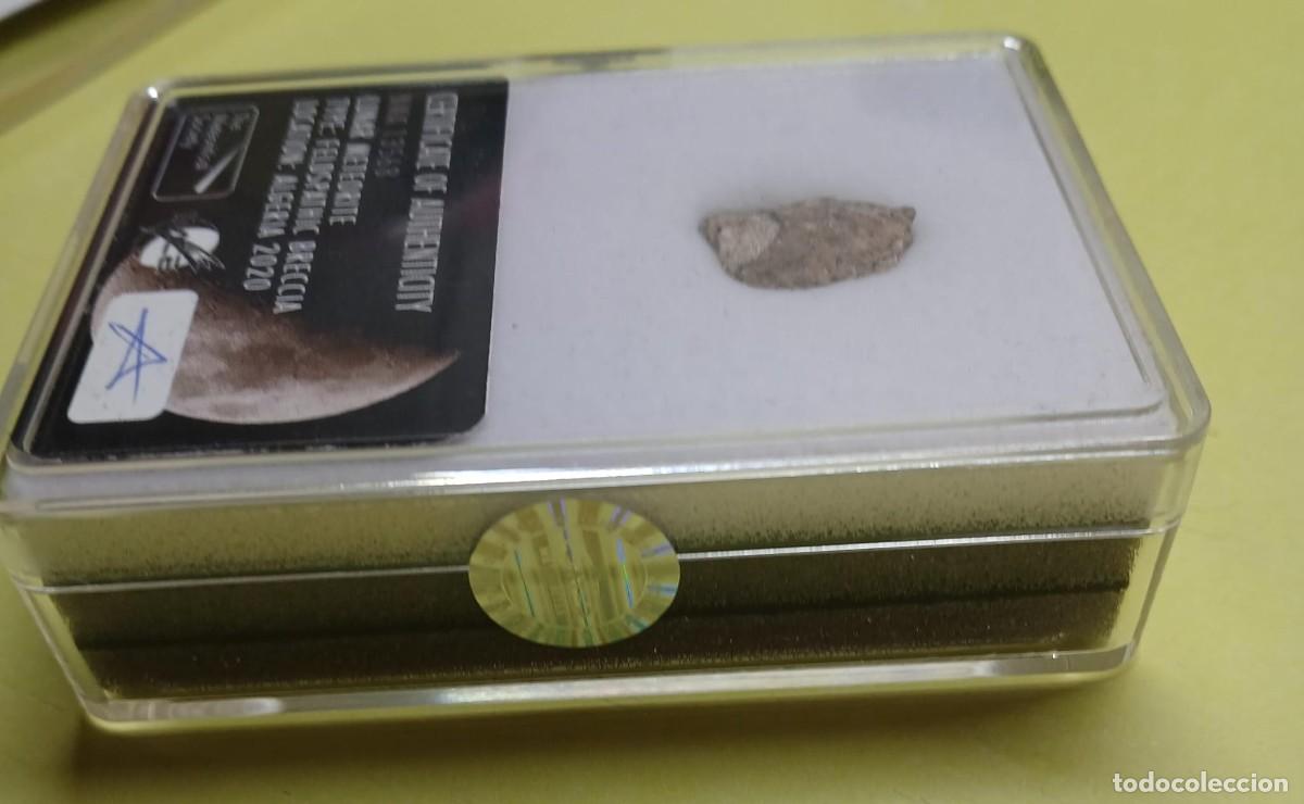 Coleccionismo: Autentico Meteorito LUNAR - Foto 4
