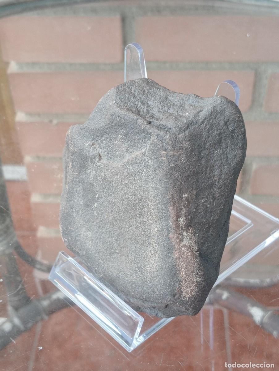 Coleccionismo: Gran n&uacute;cleo Levallois de 11 x 10 (5 cm de espesor) cm en arenisca..Lote 142/2
