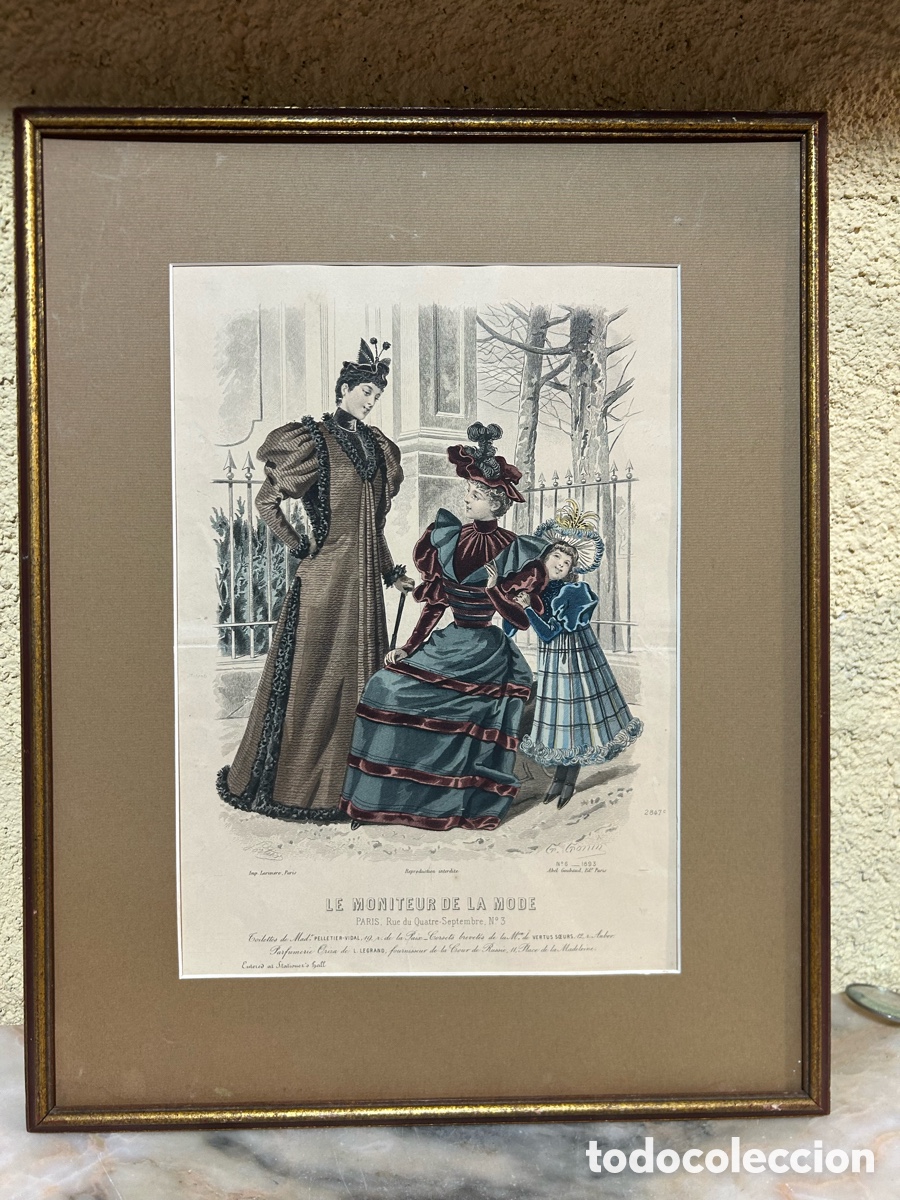 Coleccionismo: L&aacute;mina original de grabado coloreada y enmarcada, a&ntilde;o 1893