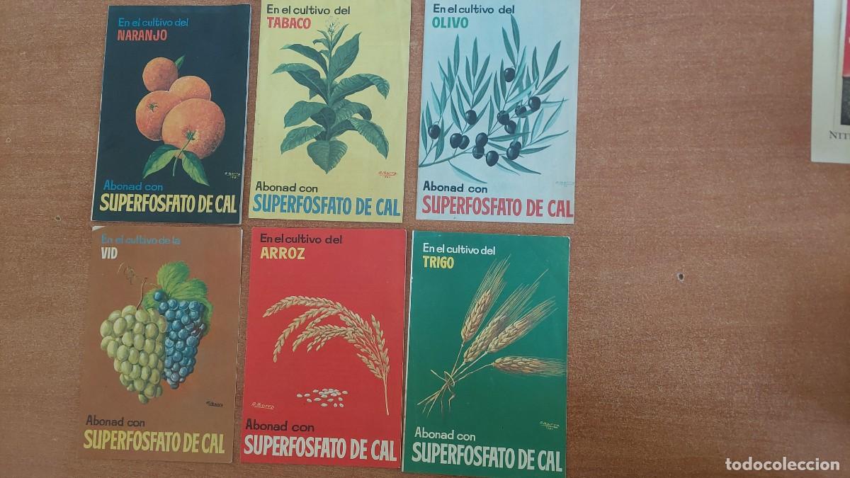 Coleccionismo: 6 panfletos publicidad Abonad con superfosfato de cal
