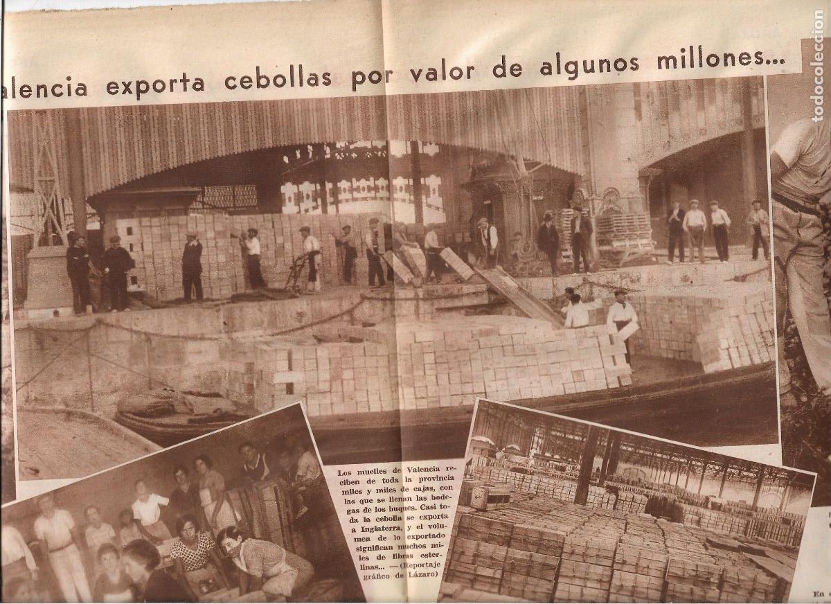 Coleccionismo: A&Ntilde;O 1933 RECORTE PRENS VALENCIA AGRICULTURA EXPORTACION DE CEBOLLAS FLOTA CEBOLLERA CARROS HUERTANOS