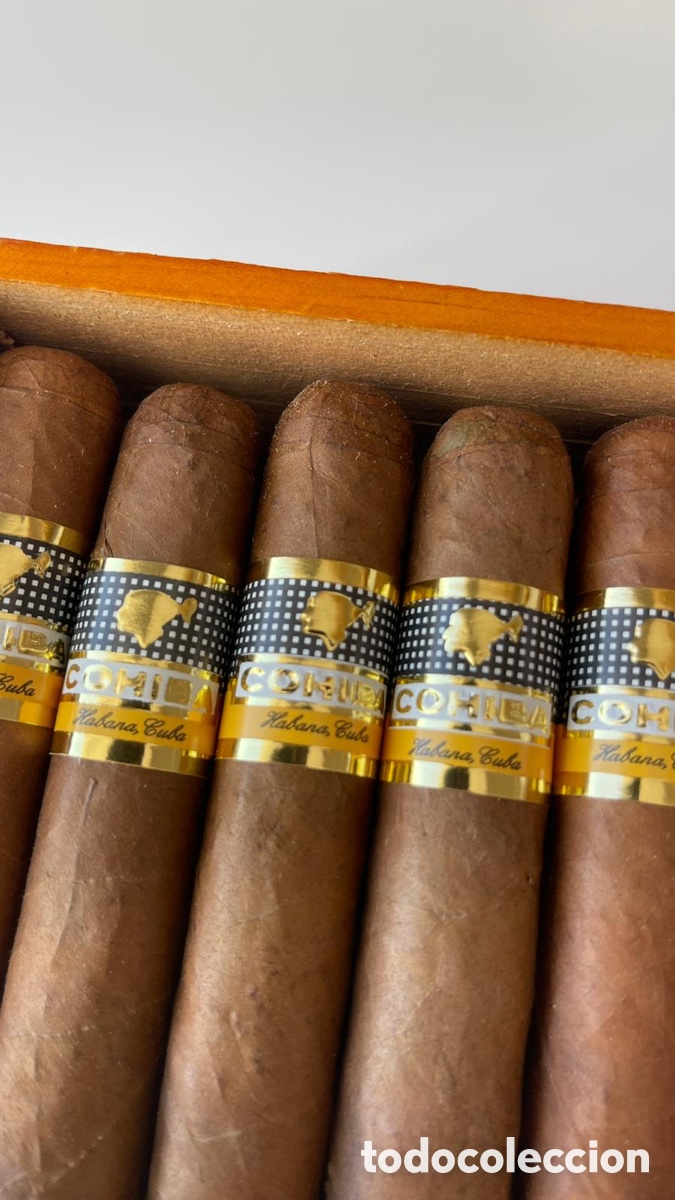 Coleccionismo: Cohiba Robustos. Klassische Linie. Havanna 2024