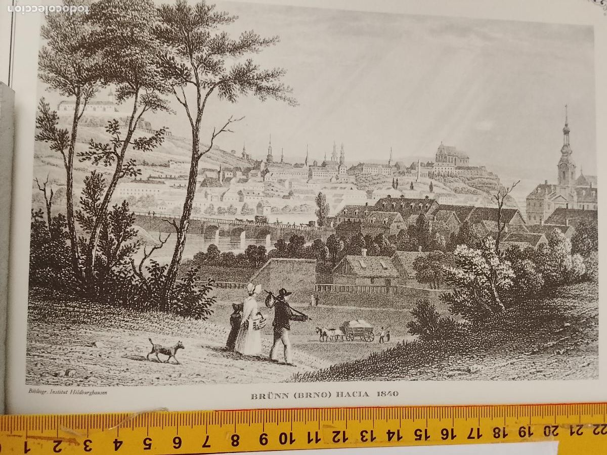 Coleccionismo: IMAGEN PARA ENMARCAR DE GRABADO O LITOGRAFIA DE LA EPOCA - BRUNN BRNO CIRCA 1840