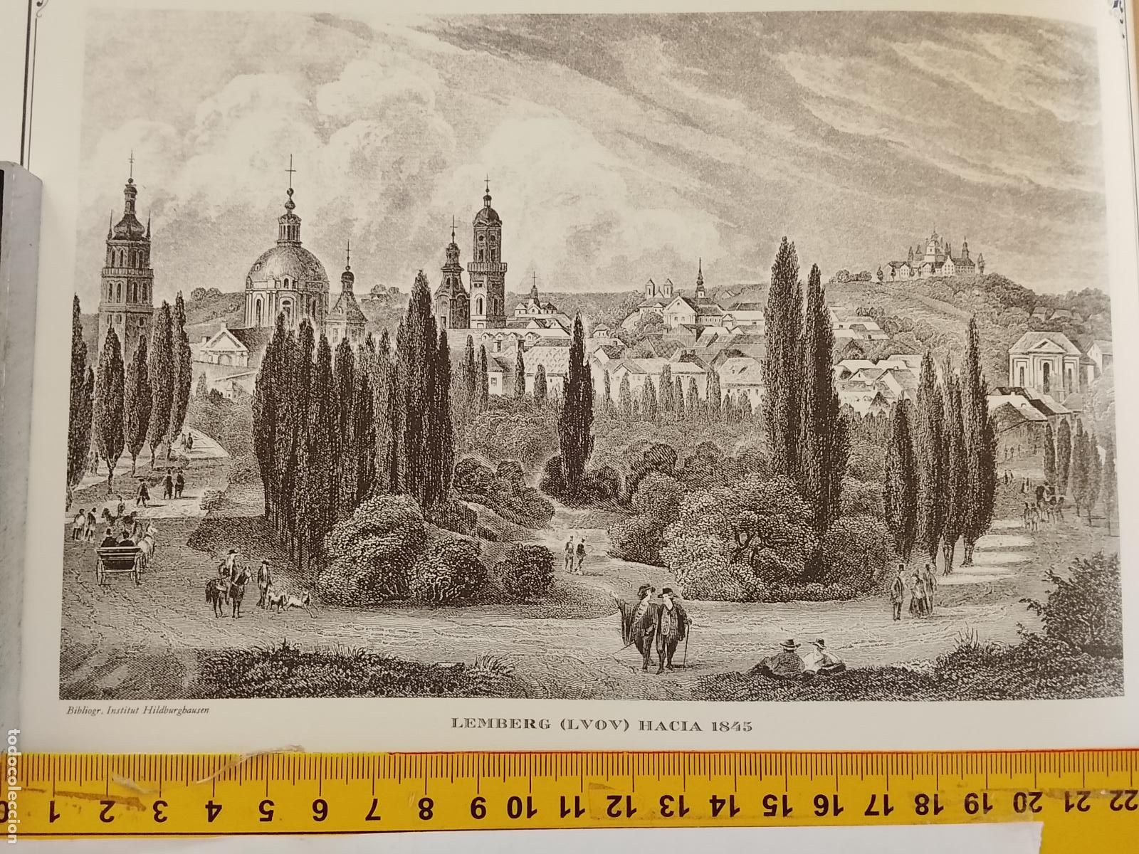 Coleccionismo: IMAGEN PARA ENMARCAR DE GRABADO O LITOGRAFIA DE LA EPOCA - LEMBERG LVOV CIRCA A&Ntilde;O 1845