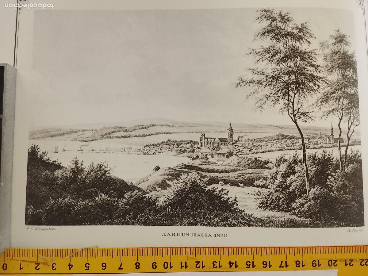 Coleccionismo: IMAGEN PARA ENMARCAR DE GRABADO O LITOGRAFIA DE LA EPOCA - AARHUS CIRCA A&Ntilde;O 1850