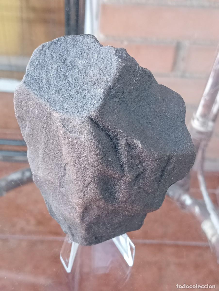 Coleccionismo: Paleol&iacute;tico Gres Bifaces - 105 mm- -Lote 147/2