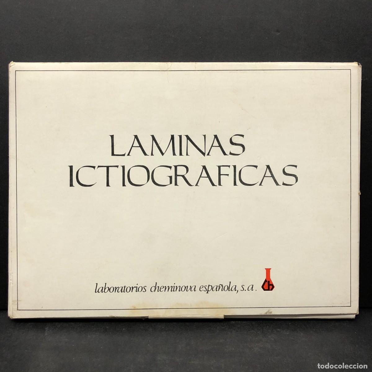 Coleccionismo: LAMINAS ICTIOGRAFICAS - PECES MARINOS - LABORATORIOS CHEMINOVA ESPA&Ntilde;OLA, S.A. / 5503