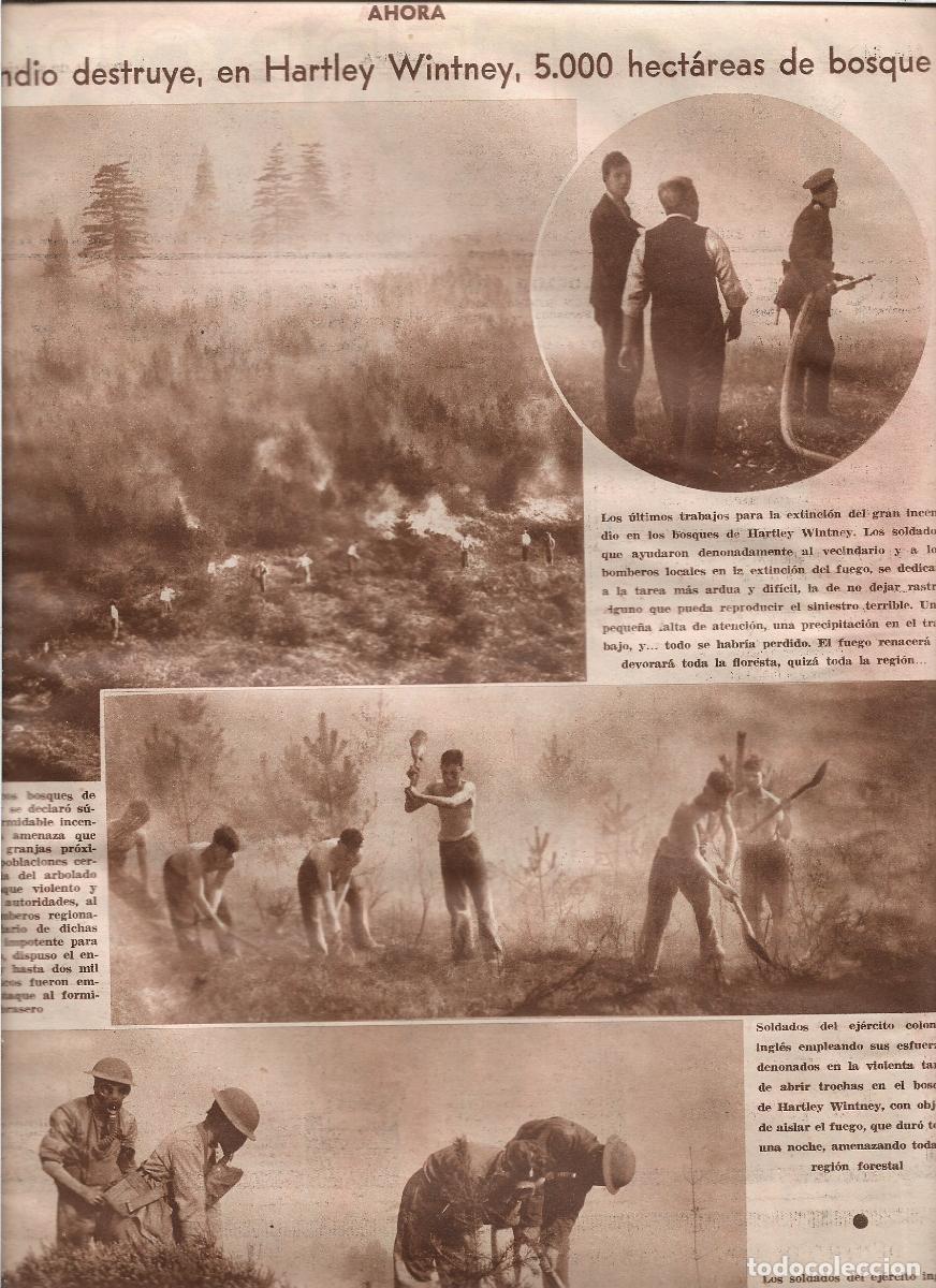 Coleccionismo: A&Ntilde;O 1933 INCENDIO EN HARTLEY WINTNEY 5000 HECTAREAS DE BOSQUE BOMBEROS Y SOLDADOS EN LA EXTINCION