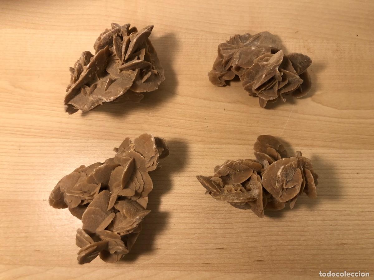 Coleccionismo: Lote 4 rosas del desierto naturales de yeso cristalizado mineral colecci&oacute;n 6-9 cm