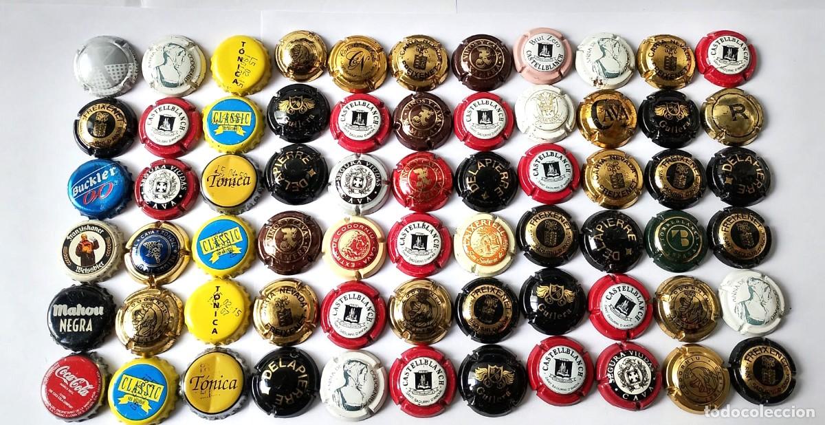 Sammeln: Lote de placas de cava y chapas de refrescos, cerveza, etc...