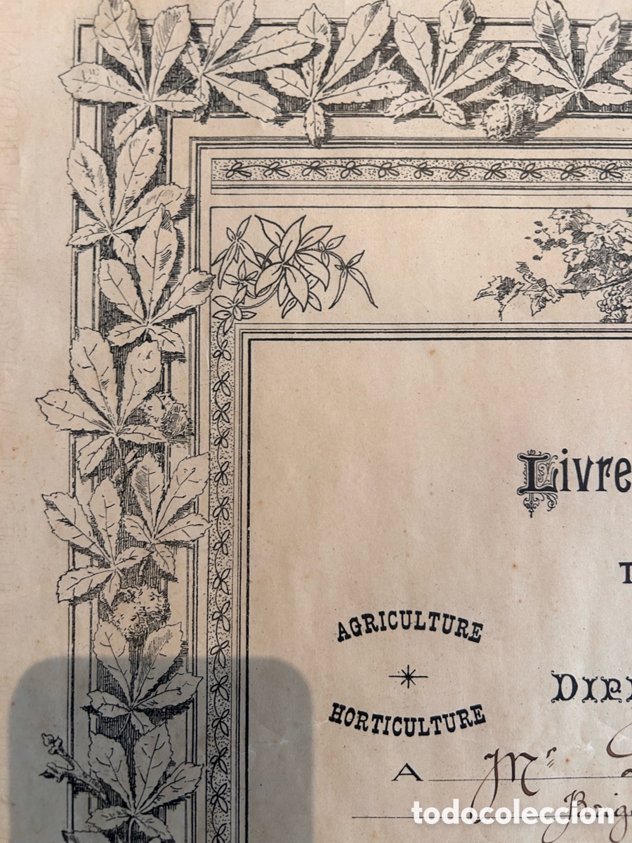 Coleccionismo: Diploma comercial franc&eacute;s vintage - Foto 7