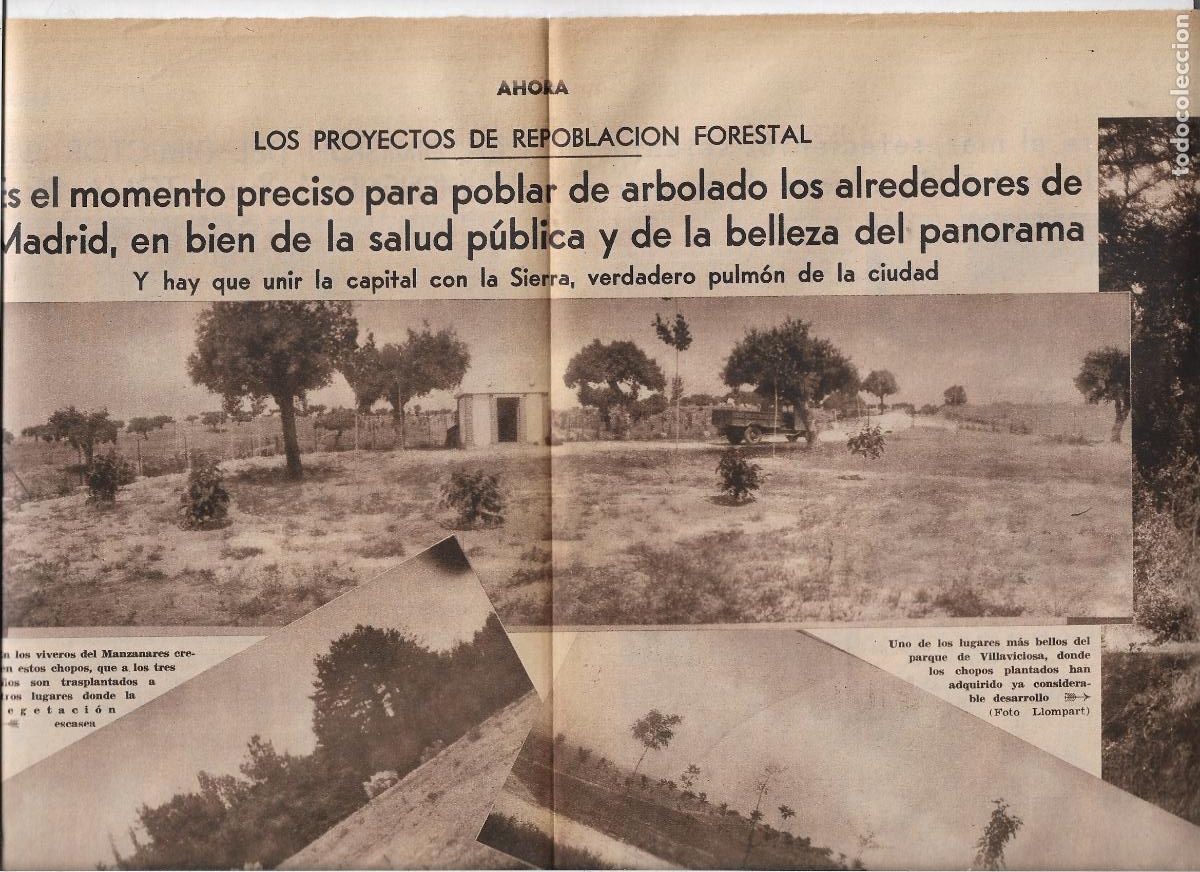 Coleccionismo: A&Ntilde;O 1933 RECORTE PRENSA REPOBLACION FORESTAL ALREDEDORES DE MADRID UNION CON LA SIERRA
