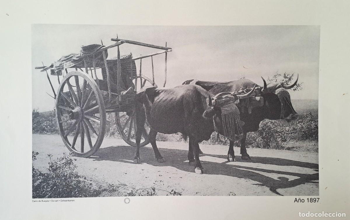 Coleccionismo: REPRODUCION LAMINA CARRO DE BUEYES A&Ntilde;O 1897. LAMIGRANSEV-053