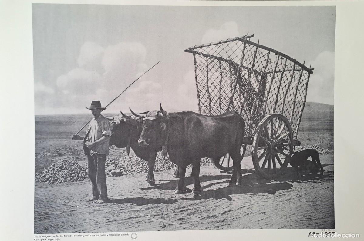 Coleccionismo: REPRODUCION LAMINA VISTAS ANTIGUAS DE SEVILLA CARRO PARA CARGAR PAJA A&Ntilde;O 1897. LAMIGRANSEV-058
