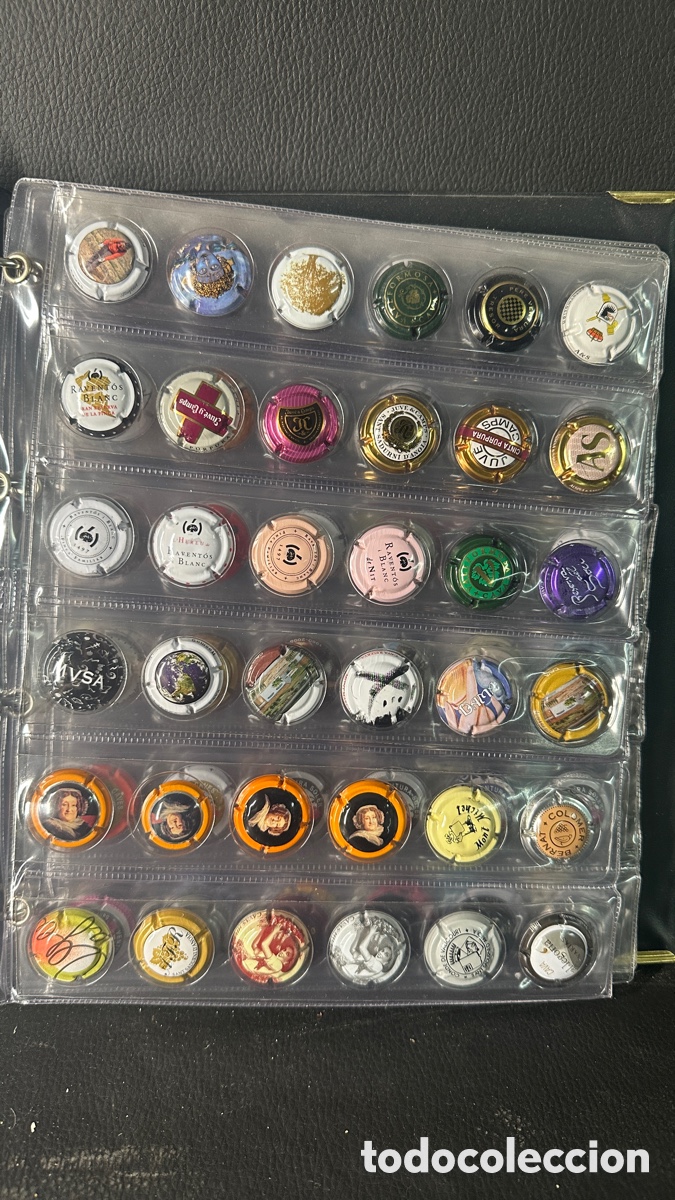 Coleccionismo: COLECCION DE PLACAS CHAPAS DE CAVA. - Foto 3