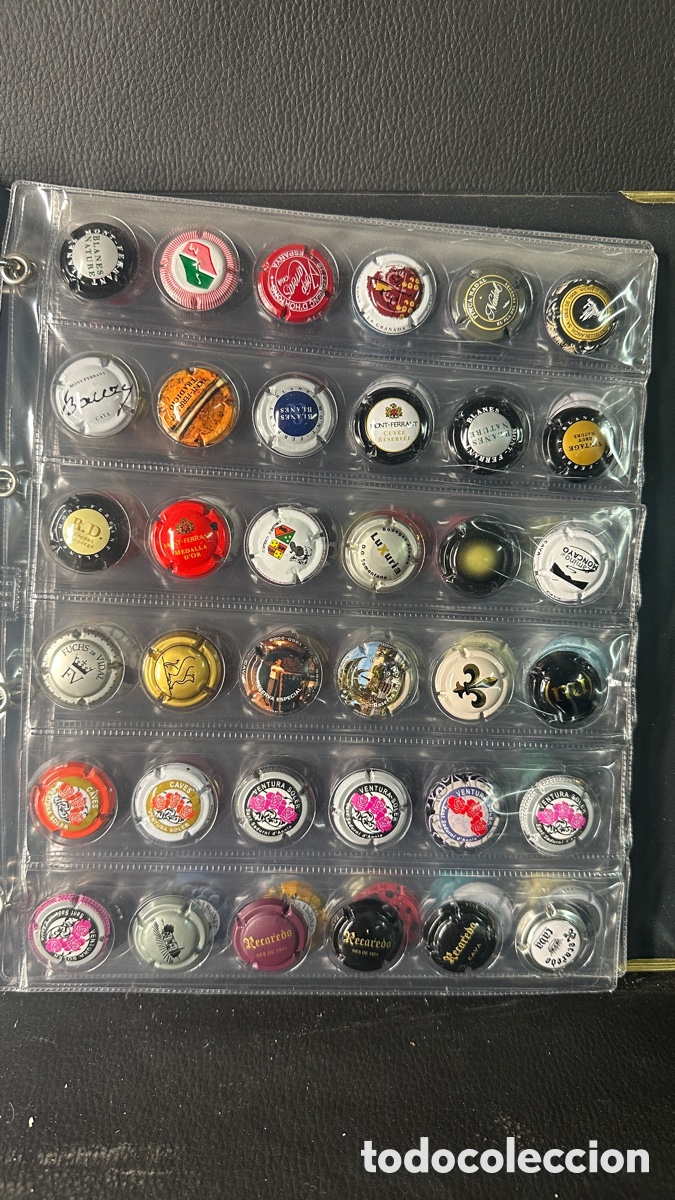Coleccionismo: COLECCION DE PLACAS CHAPAS DE CAVA. - Foto 4