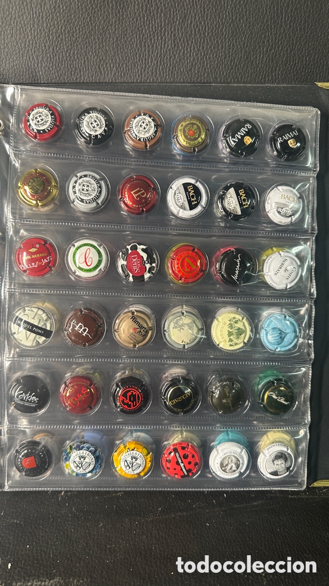 Coleccionismo: COLECCION DE PLACAS CHAPAS DE CAVA. - Foto 5