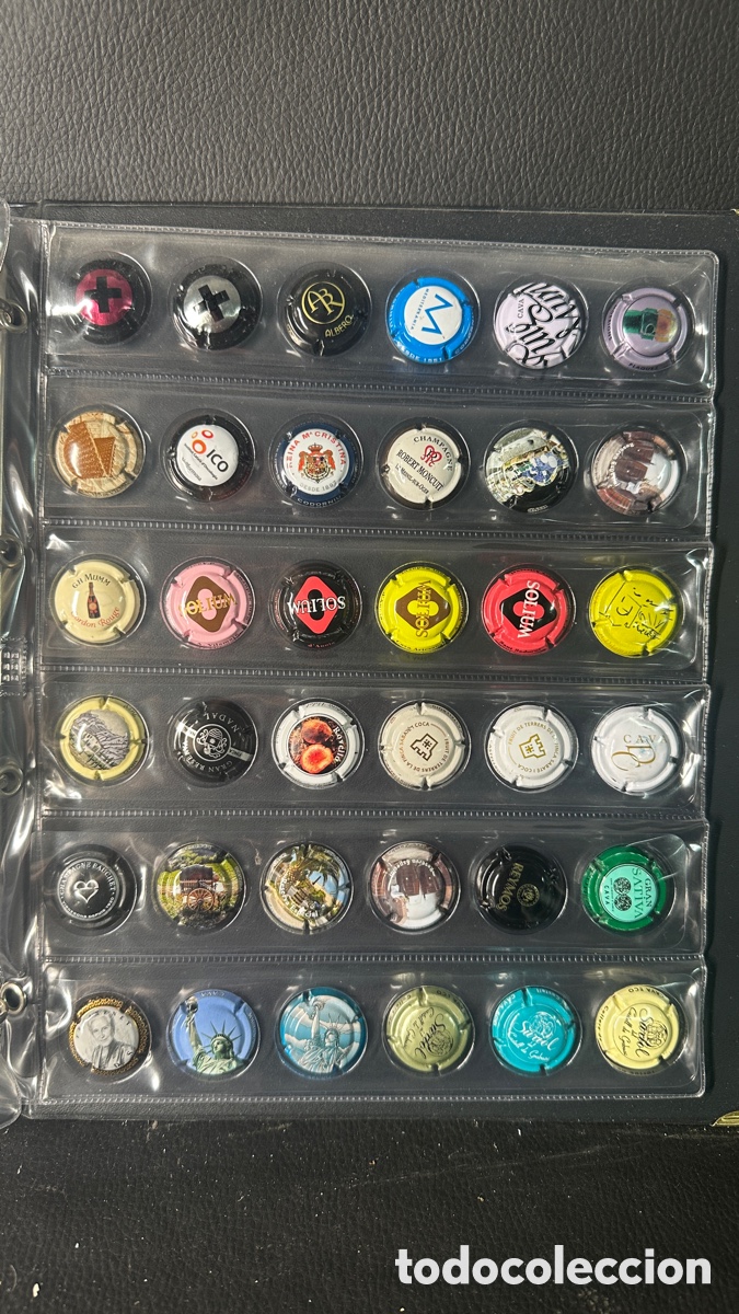 Coleccionismo: COLECCION DE PLACAS CHAPAS DE CAVA. - Foto 6