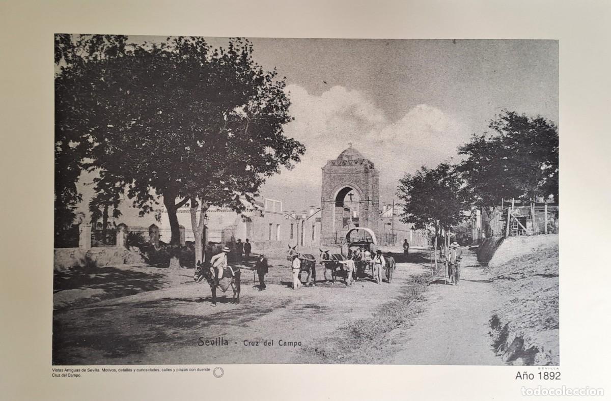 Coleccionismo: REPRODUCCION LAMINA VISTAS ANTIGUAS DE SEVILLA CRUZ CAMPO A&Ntilde;O 1892. LAMIGRANSEV-080 ,3