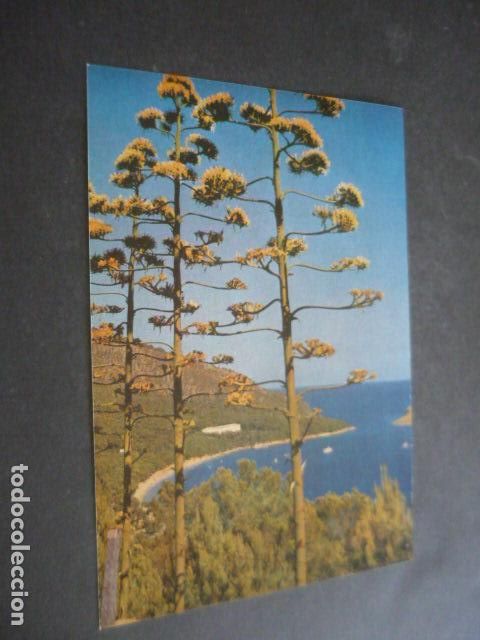 Collectionnisme: FORMENTOR MALLORCA ANTIGUA LAMINA 16 X 22 CM